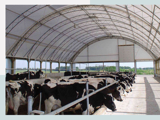 Тентовые коровники в Обнинске